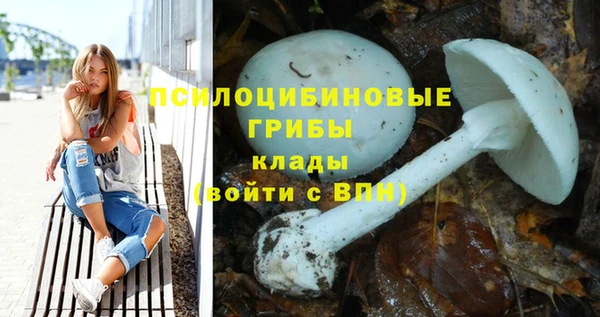 мдпв Волоколамск