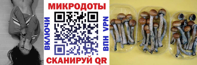 Галлюциногенные грибы MAGIC MUSHROOMS  darknet как зайти  Медногорск  OMG онион 