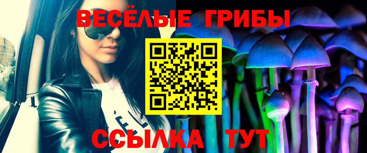 Медногорск  Псилоцибиновые грибы Psilocybine cubensis  Вход с VPN 